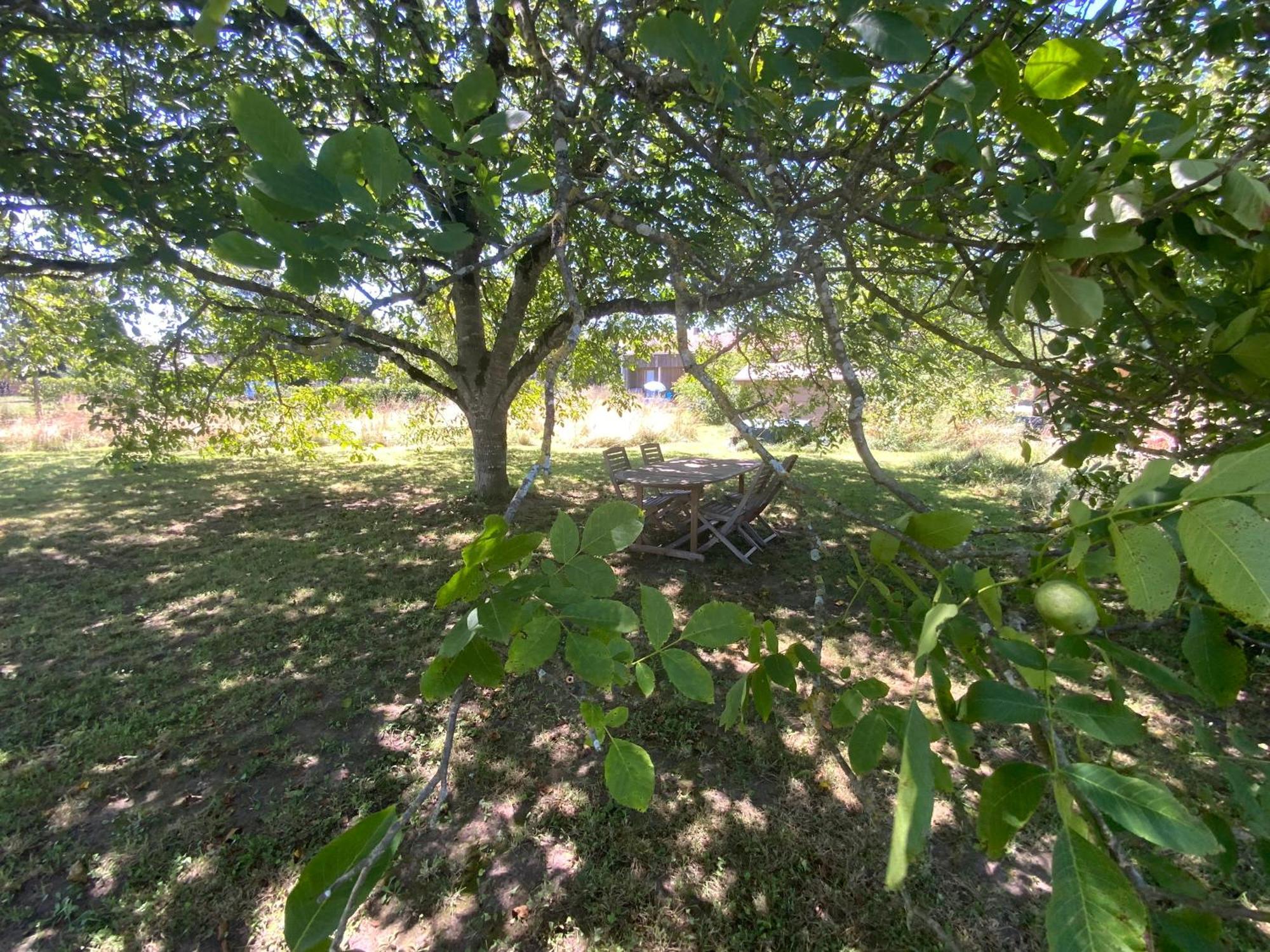Gite Wildflower Lane Valojoulx Εξωτερικό φωτογραφία
