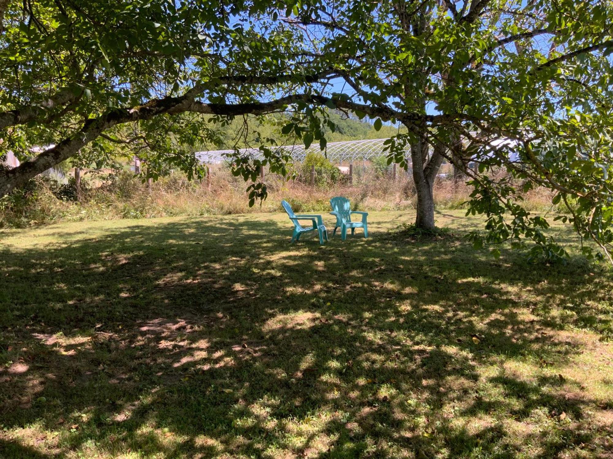 Gite Wildflower Lane Valojoulx Εξωτερικό φωτογραφία