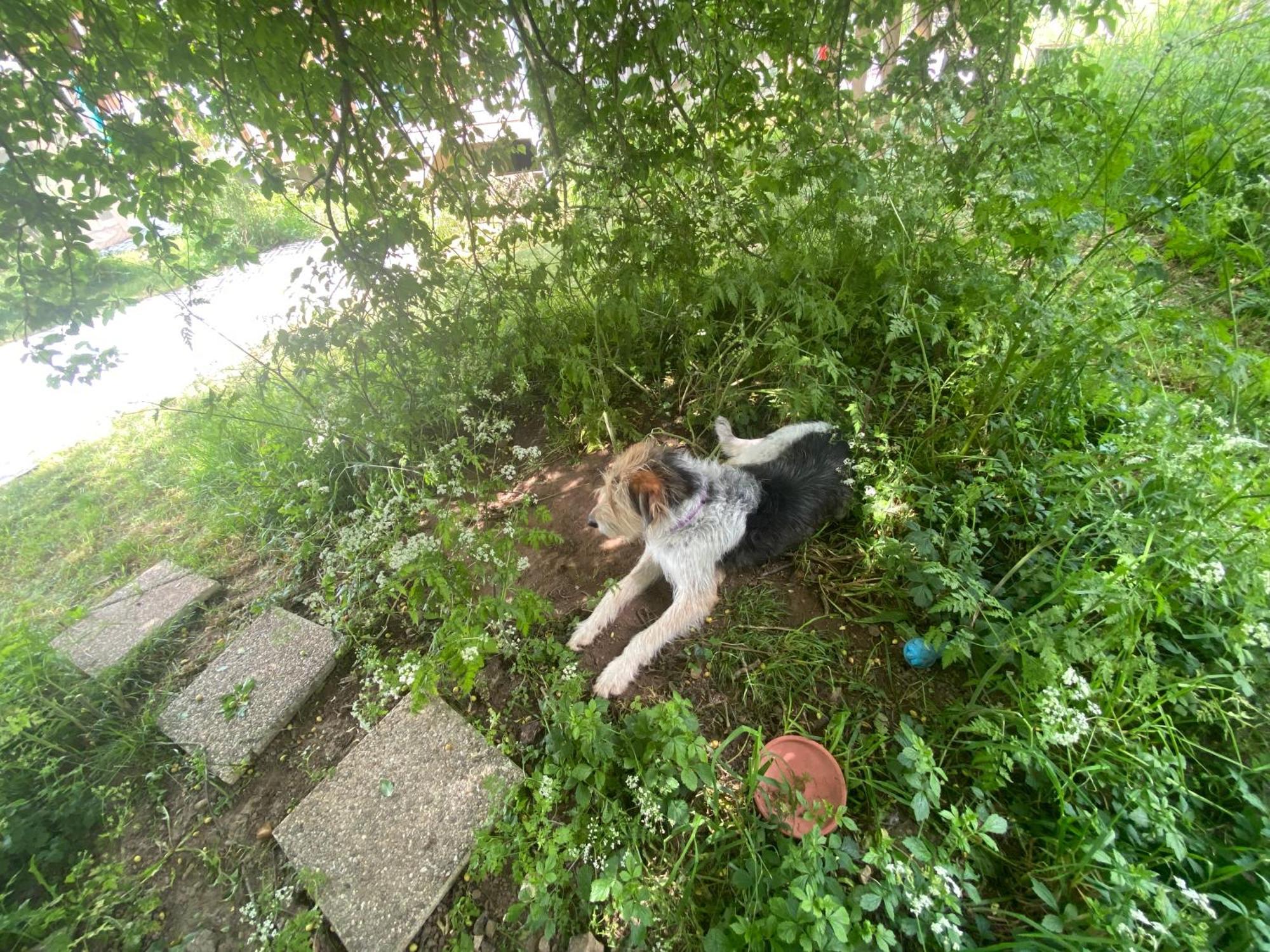 Gite Wildflower Lane Valojoulx Εξωτερικό φωτογραφία