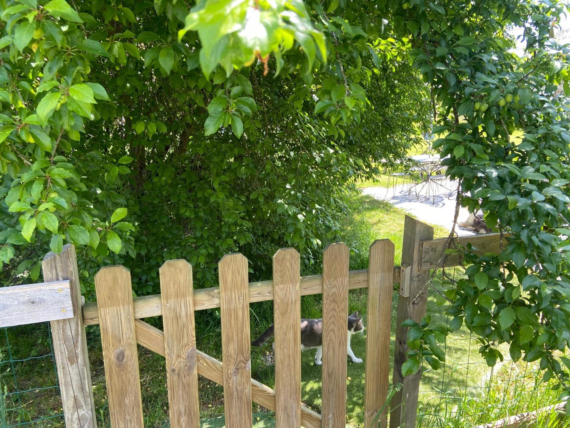 Gite Wildflower Lane Valojoulx Εξωτερικό φωτογραφία